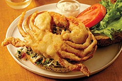 Tempura Soft Shell Crab