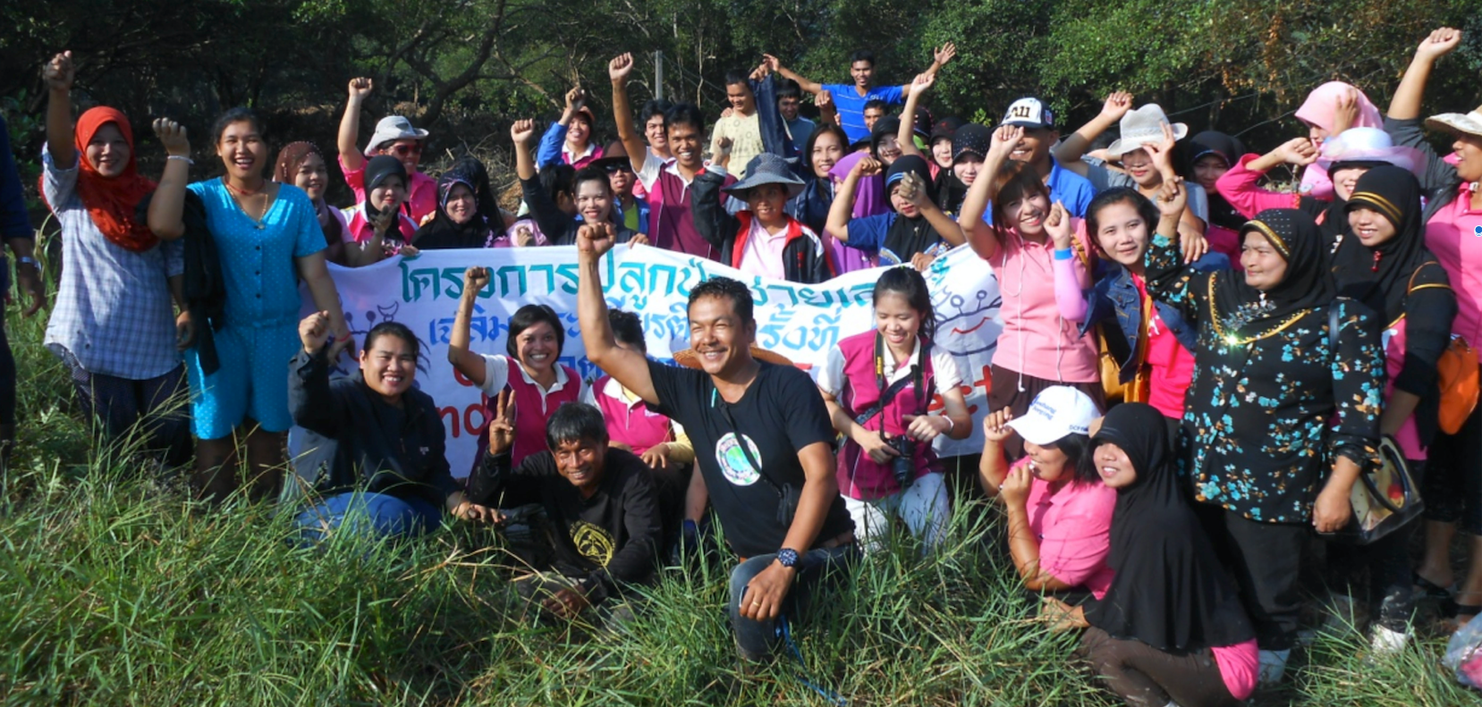 mangrove