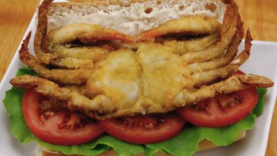 Soft Shell Crab Sandwich