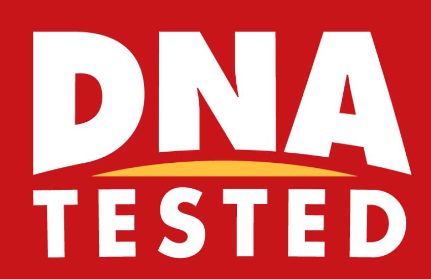 Handy Announces DNA Testing of Its Seafood