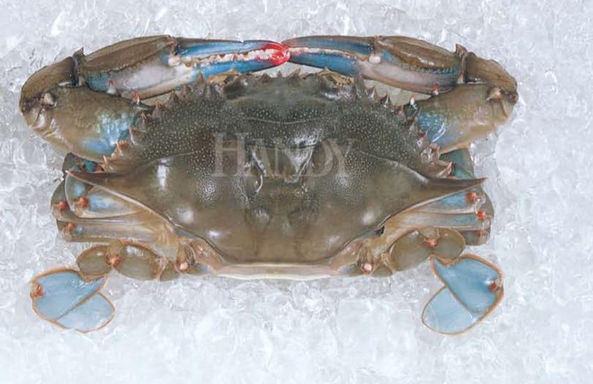 Domestic Soft Shell Crabs