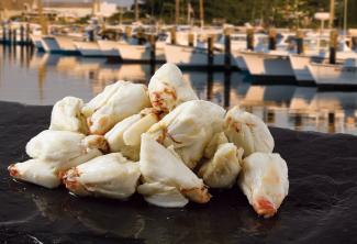 30/40 Colossal Lump Pelagicus crab meat (#4002000) | Handy Crab
